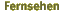 Fernsehen